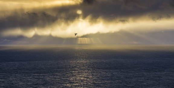 Plage de cendre noir à Reynir près de Vik Plage de cendre noir à Reynir près de Vik
www.laffprod.com/fr/roadtrips/islande/islande-partie-3