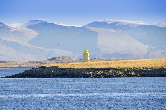 Sortie en mer à la recherche des baleines dans la baie du Faxafloi